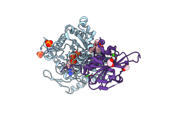 9L2N image