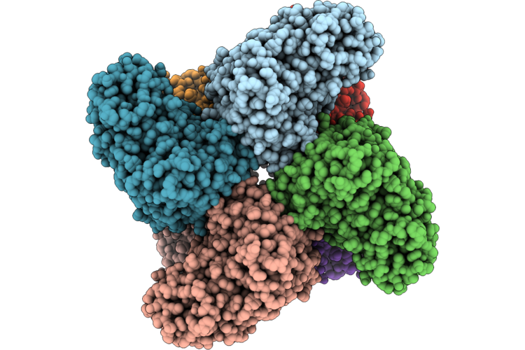 9L2O image