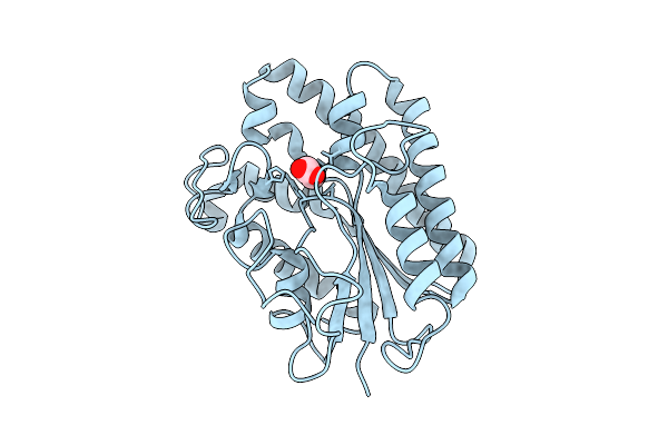 9L2P image
