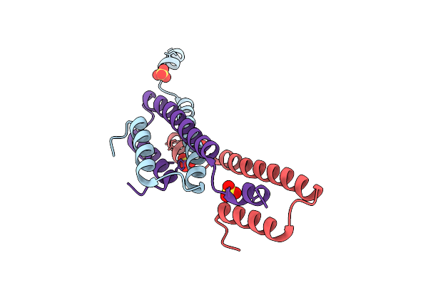 9L2R image