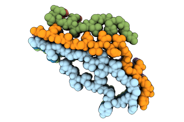 9L2S image