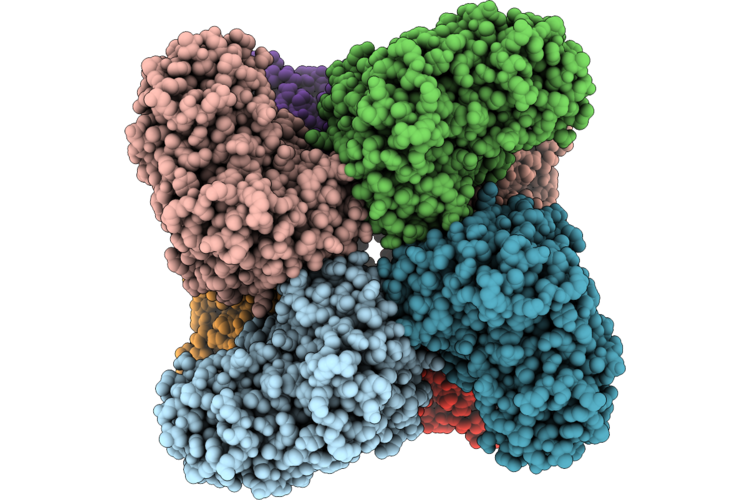 9L2T image