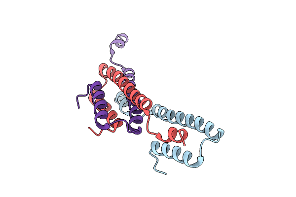 9L2W image