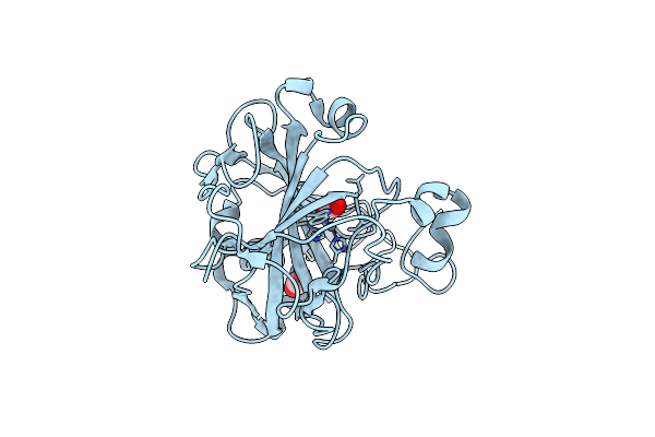 9L2X image