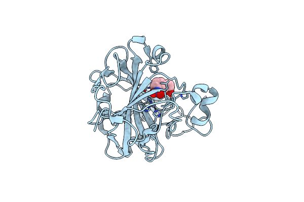 9L2Y image