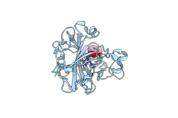 9L30 image