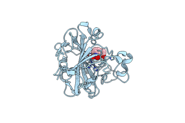 9L31 image