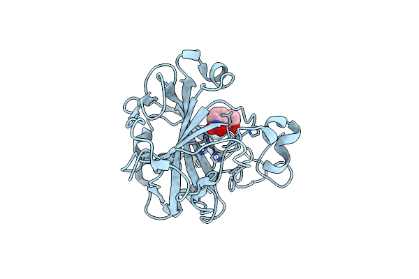 9L32 image