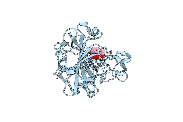 9L33 image