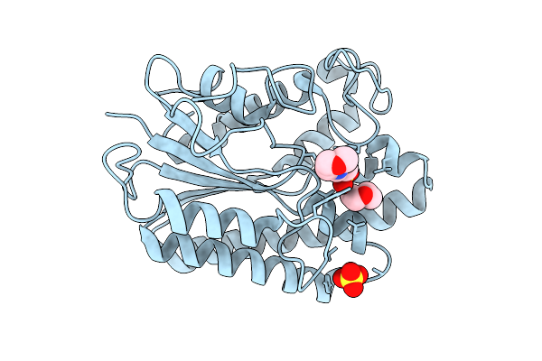 9L34 image