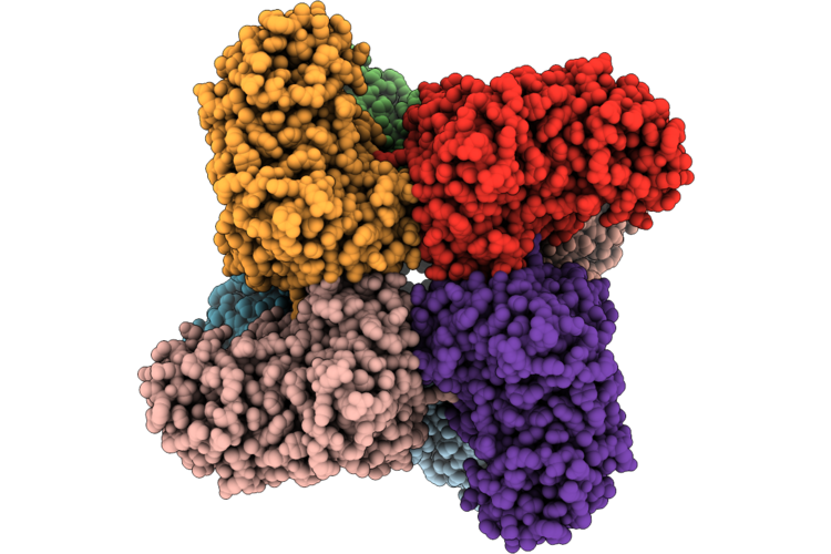 9L36 image