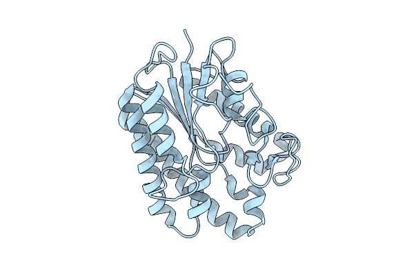 9L37 image