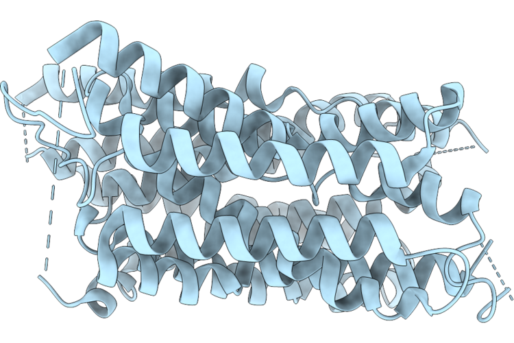 9L38 image