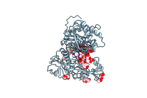 9L3P image