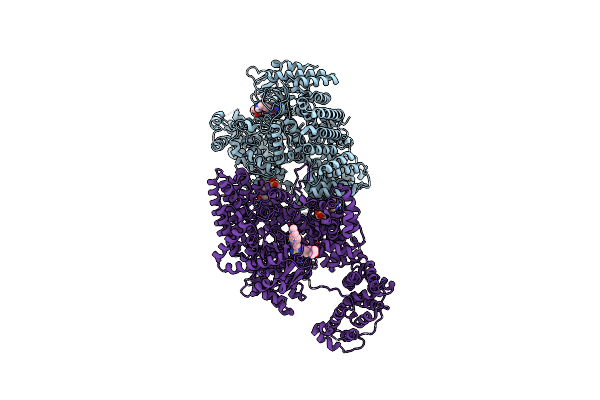9L40 image