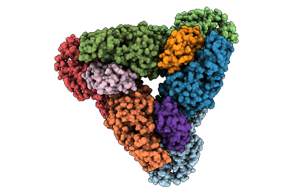 9L41 image