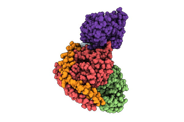 9L42 image