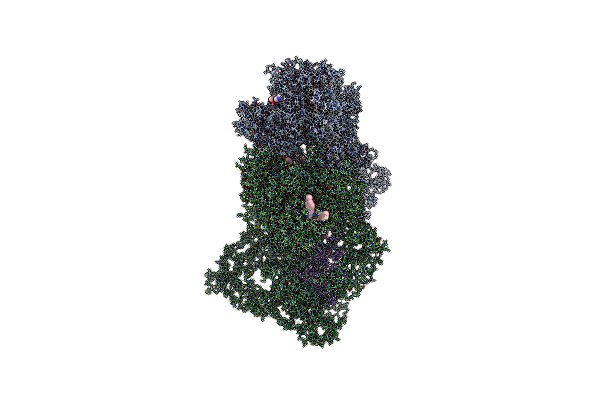 9L45 image