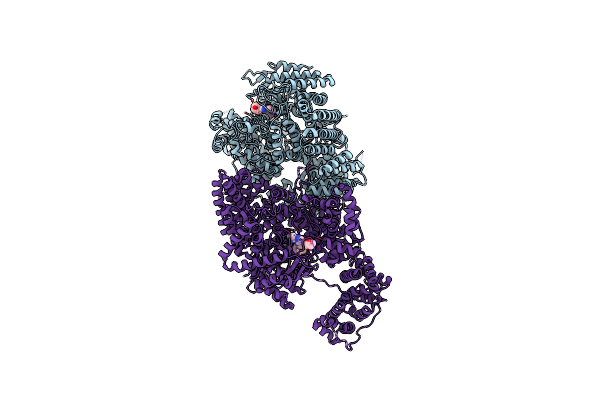 9L4B image