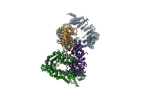 9L4C image