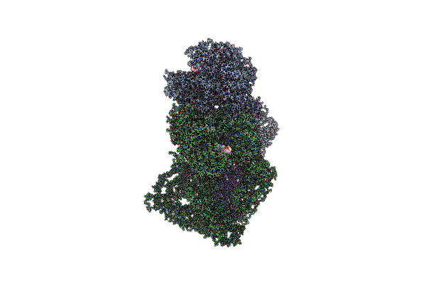 9L4D image