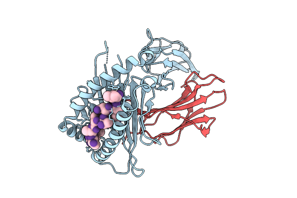 9L4G image