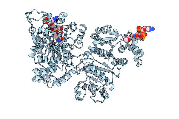 9L4N image