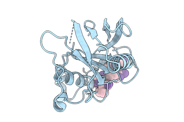 9L4P image