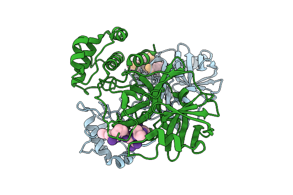 9L4S image
