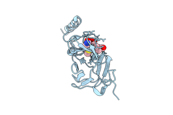 9L4V image