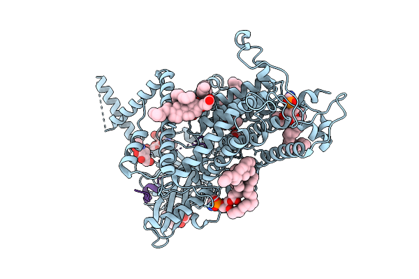 9L54 image