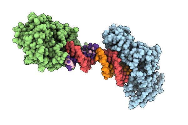 9L55 image