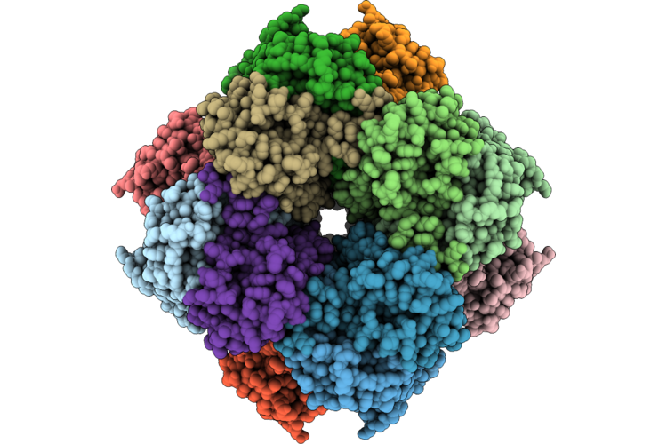 9L58 image