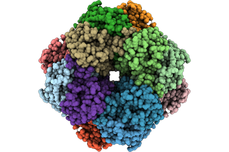 9L5D image