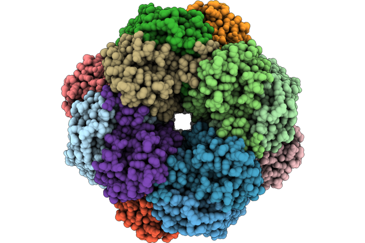 9L5I image
