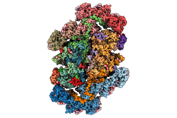 9L5V image