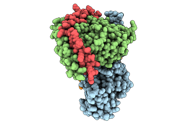9L60 image