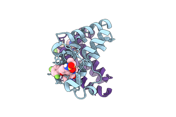 9L61 image