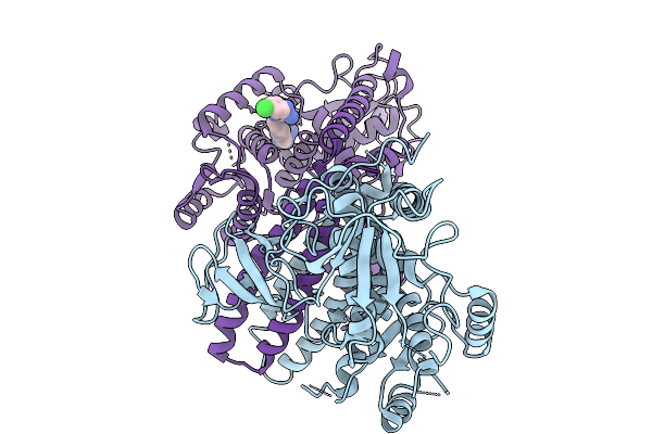 9L62 image