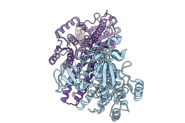 9L63 image