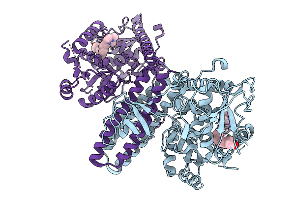 9L65 image
