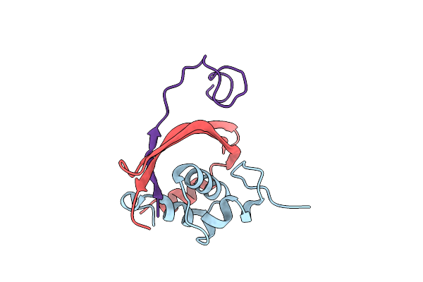 9L6B image