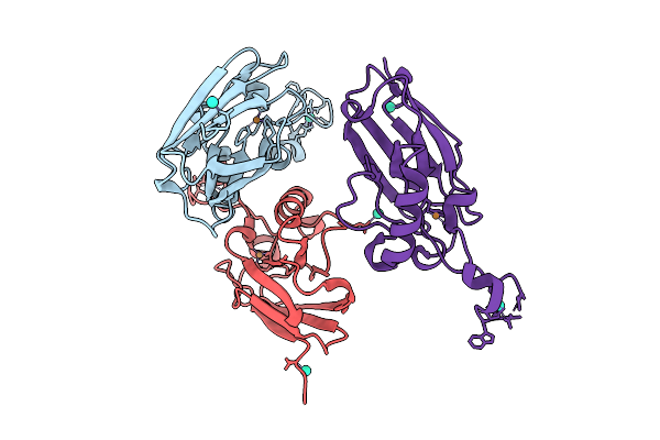 9L6D image