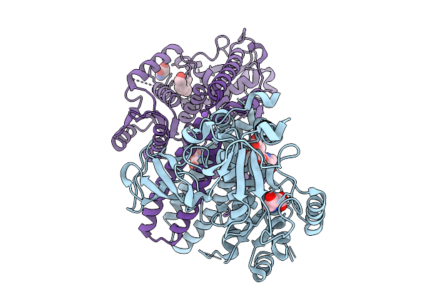9L6E image