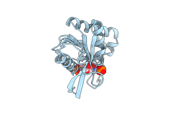 9L6J image