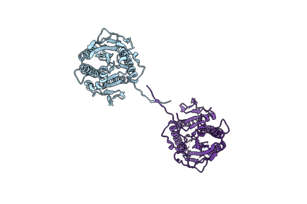 9L6K image