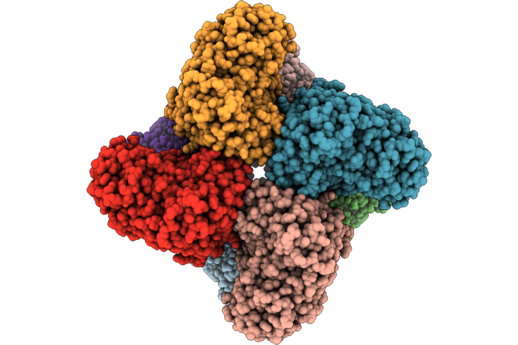 9L6P image