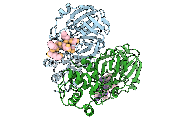 9L7B image