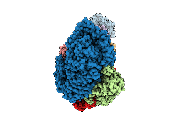 9L7C image