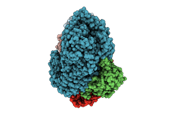 9L7D image
